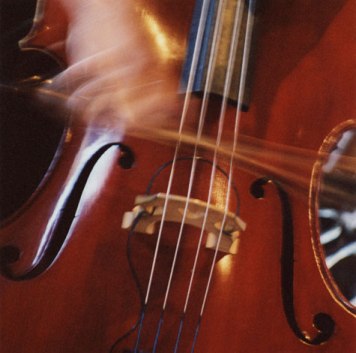 A Double-bass will produce its best music only after four generations. 