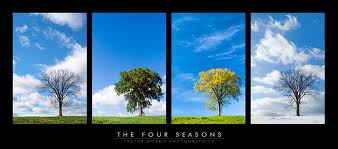 God has more than just four seasons or reasons for our lives.